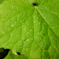 235005_20180608173558_01.JPG