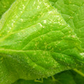 235005_20180608173631_01.JPG
