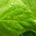 235005_20180608173636_01.JPG