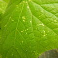 235005_20180612185103_01.JPG