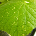 235005_20180612185108_01.JPG