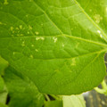 235005_20180612185241_01.JPG