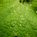 235005_20180612185511_01.JPG