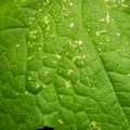 235005_20180612185707_01.JPG
