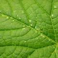 235005_20180612185729_01.JPG