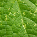 235005_20180612185745_01.JPG