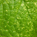 235005_20180612185748_01.JPG