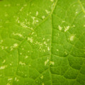 235005_20180612185808_01.JPG