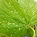 235006_20180615175925_01.JPG