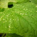 235006_20180615180006_01.JPG