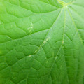 235006_20180615180144_01.JPG