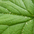 235007_20180728145910_01.JPG