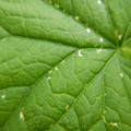 235007_20180728145915_01.JPG