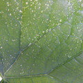 235007_20180730130343_01.JPG