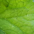 235007_20180730130445_01.JPG