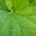 235007_20180730130448_01.JPG