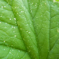 235007_20180730130544_01.JPG