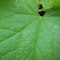 235008_20180730130816_01.JPG