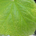 235008_20180730130841_01.JPG