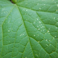 235008_20180730130939_01.JPG