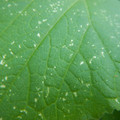 235008_20180730131002_01.JPG