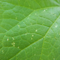 235008_20180730131233_01.JPG