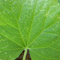 235008_20180730131258_01.JPG