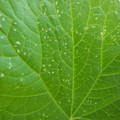 235008_20180730131307_01.JPG
