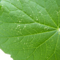 235008_20180730131335_01.JPG
