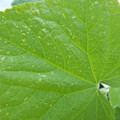 235008_20180730131340_01.JPG