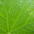 235008_20180730131351_01.JPG
