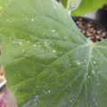235008_20180730131438_01.JPG