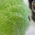 235008_20180730131514_01.JPG