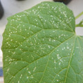 235008_20180731182724_01.JPG
