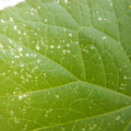 235008_20180731182915_01.JPG