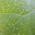 235008_20180731182922_01.JPG