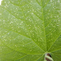 235008_20180731182926_01.JPG