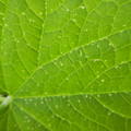 235008_20180731183006_01.JPG
