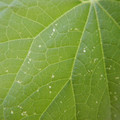 235008_20180731183023_01.JPG
