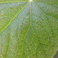 235008_20180731183042_01.JPG