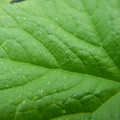 235008_20180731183359_01.JPG