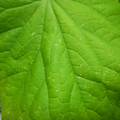 235008_20180809131648_01.JPG