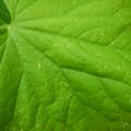 235008_20180809131652_01.JPG