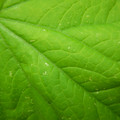 235008_20180809131655_01.JPG
