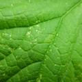235008_20180809131733_01.JPG