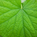 235008_20180809131818_01.JPG
