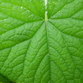 235008_20180809131824_01.JPG