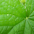 235008_20180809131830_01.JPG