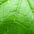 235008_20180809131859_01.JPG