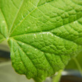 235008_20180809132047_01.JPG